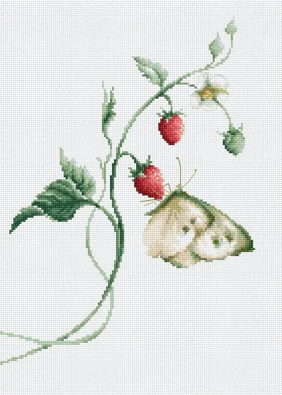 Aroma of Summer B2268L Counted Cross-Stitch Kit