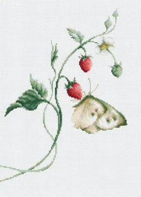 Aroma of Summer B2268L Counted Cross-Stitch Kit