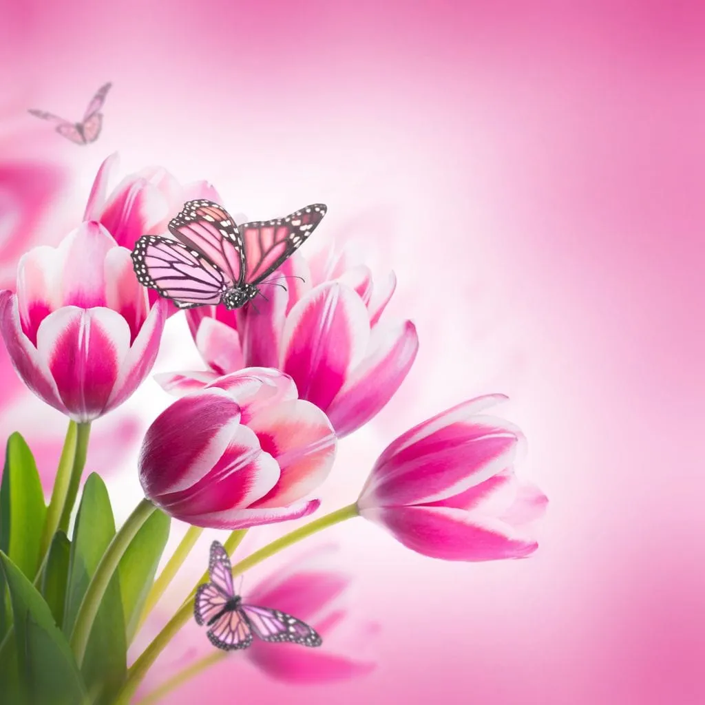 Bouquet of Pink Tulips & Butterflies