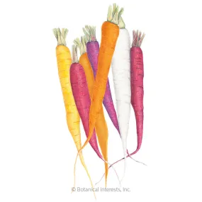 Calliope Blend Carrot Seeds