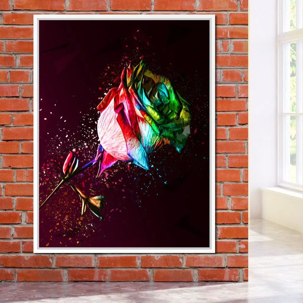 Colored Rose - Milos Karanovic